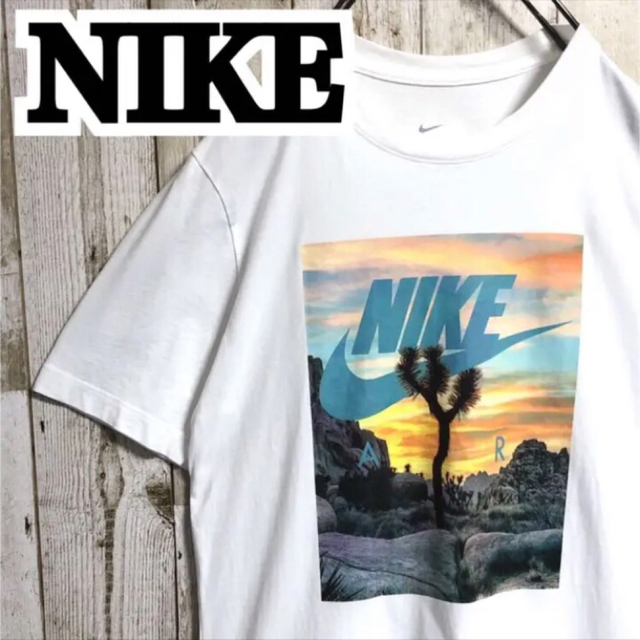 NIKE(ナイキ)のNIKE ナイキ ビッグプリント ビッグロゴ ボックスロゴ サボテン Tシャツ メンズのトップス(Tシャツ/カットソー(半袖/袖なし))の商品写真