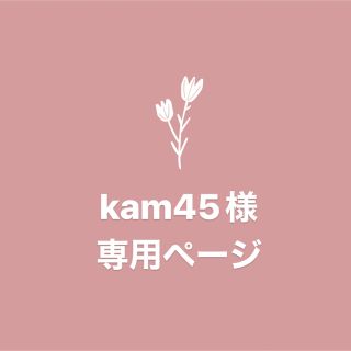 kam45様　専用ページ(ヘッドフォン/イヤフォン)