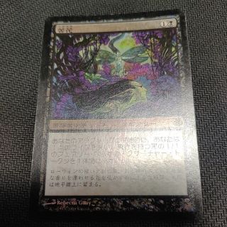 MTG 苦花　日本語版　foil MOR　初版(シングルカード)