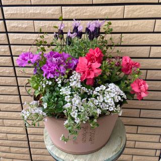 母の日寄せ植え♡(プランター)