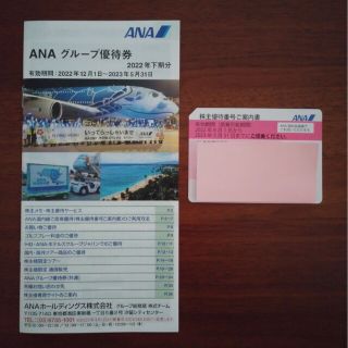 エーエヌエー(ゼンニッポンクウユ)(ANA(全日本空輸))のANA 株主優待券(2023年5月31日迄有効)(その他)