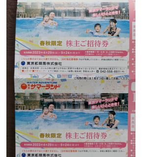 東京サマーランド　株主ご招待券　２枚(その他)