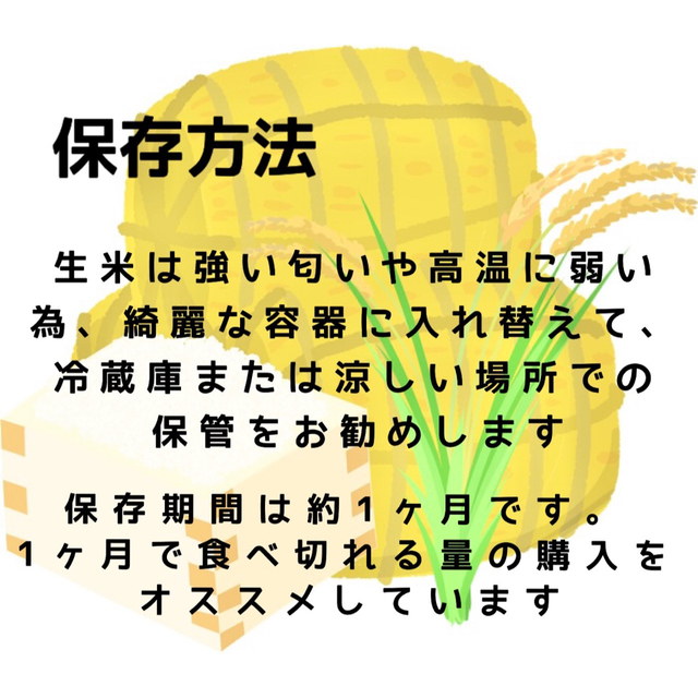 【新米】令和4年産 北海道米　ななつぼし　無洗米　10kg 7