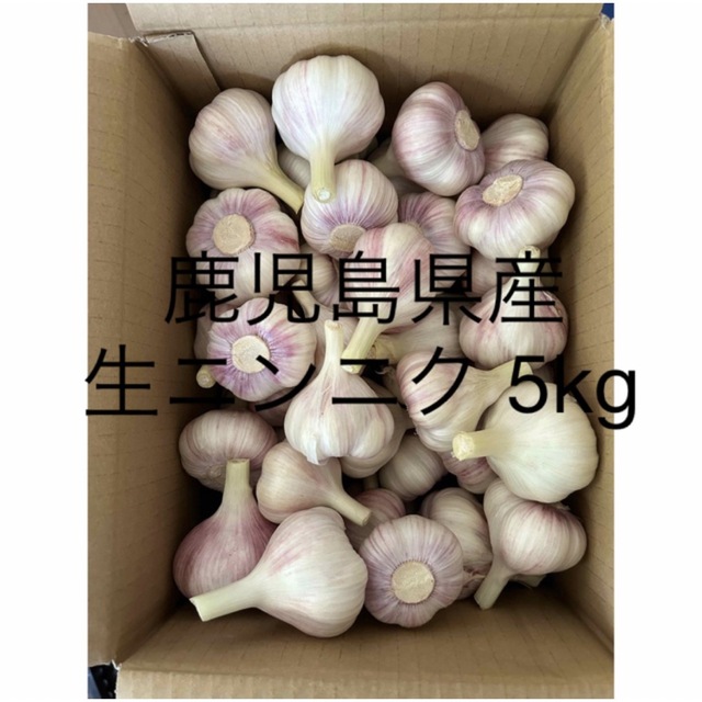 鹿児島県産　ニンニク5kg