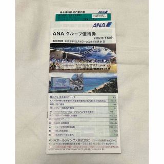 ANA 株主優待券　グループ優待券(その他)