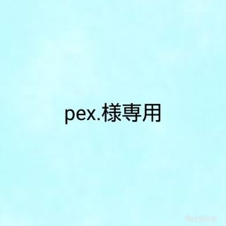 pex．様専用(ランチボックス巾着)