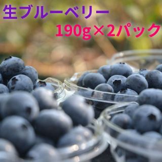 生ブルーベリー190g×2パック浜松産農家厳選直送　本州・四国・九州向け(フルーツ)