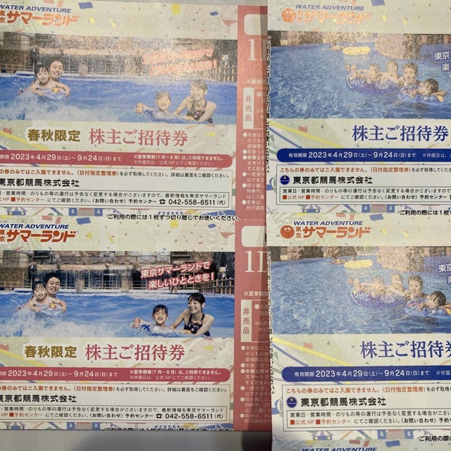 サマーランド 株主優待 16枚 - 施設利用券 サマーランド 株主優待 16枚 - 施設利用券