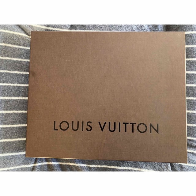 LOUIS VUITTON(ルイヴィトン)のルイヴィトン N41391 アンフィニ ポルトドキュマンジュール メンズのバッグ(バッグパック/リュック)の商品写真