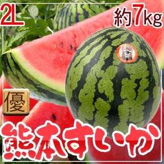 熊本県産　熊本すいか　1玉　2L　約7㎏　優品(フルーツ)