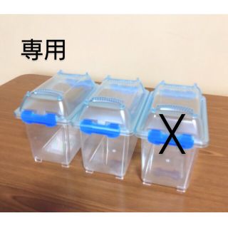 飼育ケースS　2個　クリーンケース　中古(かご/ケージ)