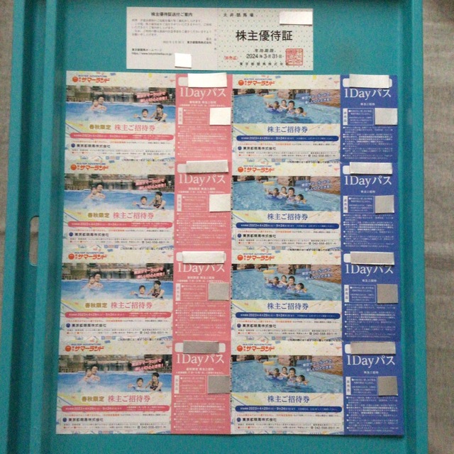 東京サマーランド&大井競馬場株主優待証 ☆匿名配送☆ - 遊園地/テーマ