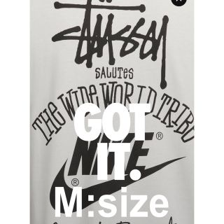 ステューシー(STUSSY)のStussy x Nike Men's T-Shirt"White"M:size(Tシャツ/カットソー(半袖/袖なし))