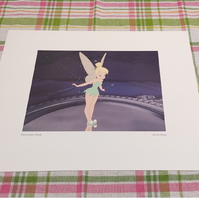 ピーターパン ディズニー アート リトグラフ