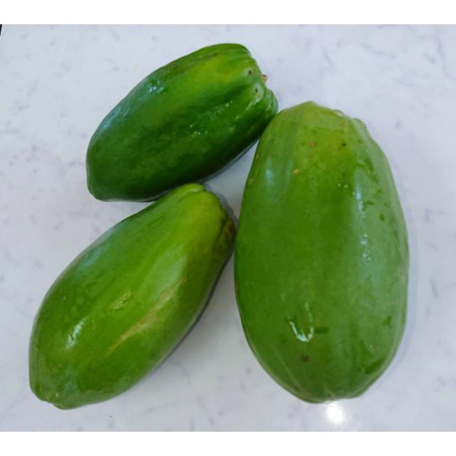 やんばる直送！！健康美容野菜 ！沖縄の最高島野菜 青パパイヤ 2.2kg 食品/飲料/酒の食品(野菜)の商品写真