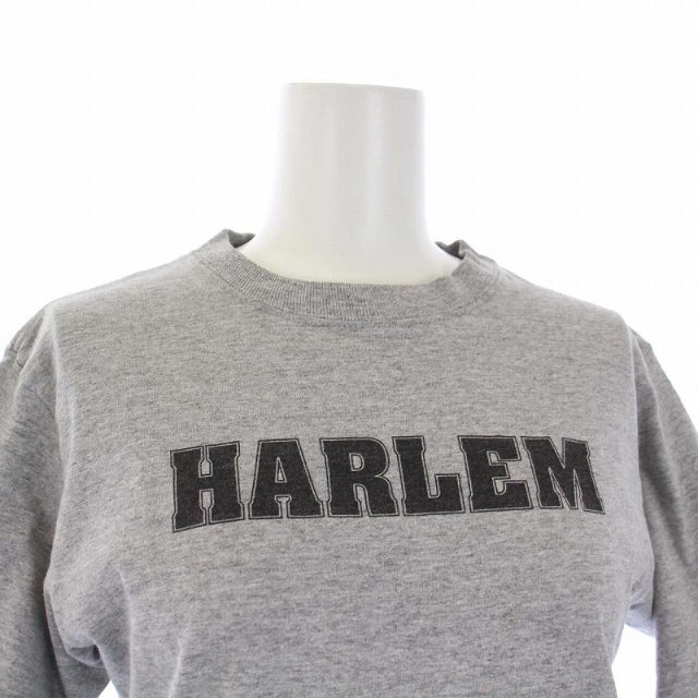 Stussy 00's 銀タグ HARLEM Ｔシャツ