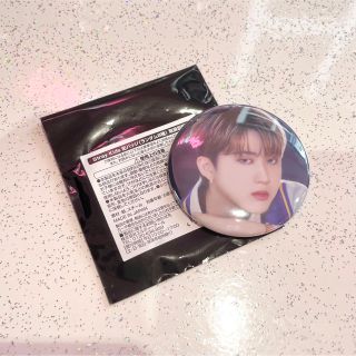 ストレイキッズ(Stray Kids)のStray Kids  ランダム 缶バッジ チャンビン SKZOOカフェ缶バッチ(アイドルグッズ)