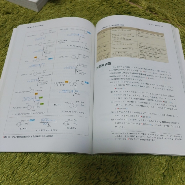 生化学 人体の構造と機能　２ 第１４版 エンタメ/ホビーの本(健康/医学)の商品写真