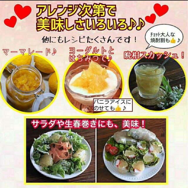 【数量限定】愛媛県産☆河内晩柑 宇和ゴールド 小玉12キロ☆ 食品/飲料/酒の食品(フルーツ)の商品写真