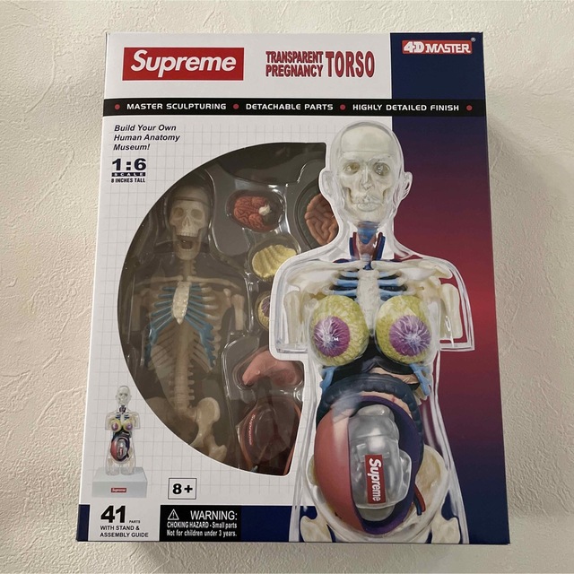 supreme Transparent Torso 人体模型 18aw