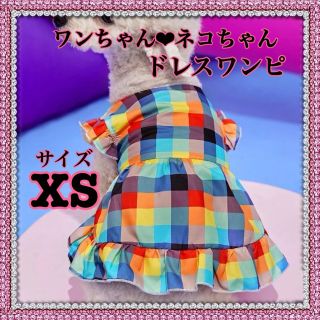 犬・猫  XSサイズ ペット服 チェックドレスワンピ  春夏服 ＜新品＞(犬)