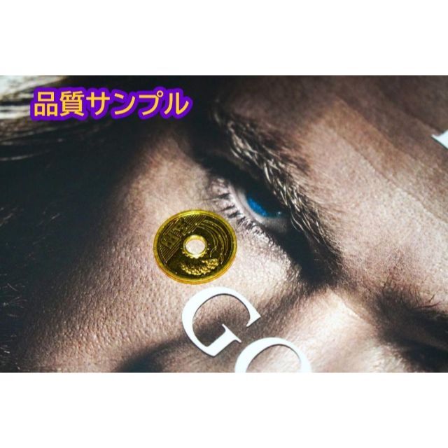 海外限定 ボーンズ アンド オール A3 ポスター A ティモシーシャラメ