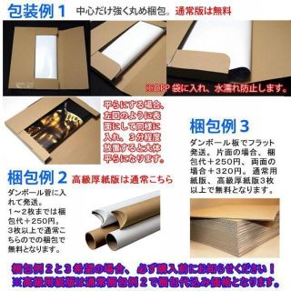 海外限定 ボーンズ アンド オール A3 ポスター A ティモシーシャラメの