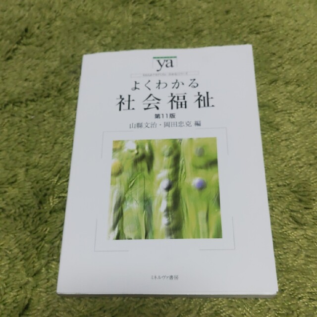 momo様専用★よくわかる社会福祉 第１１版 エンタメ/ホビーの本(人文/社会)の商品写真