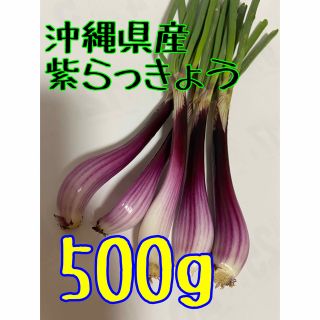 農家直送☀️ 沖縄県産　紫　島らっきょう　500g(野菜)