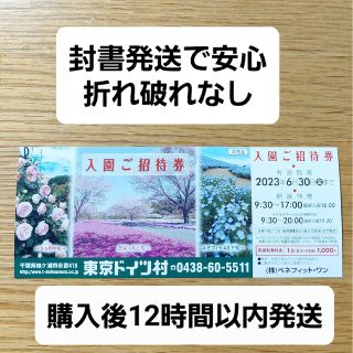 東京ドイツ村チケット 入園ご招待券 イルミネーション(遊園地/テーマパーク)