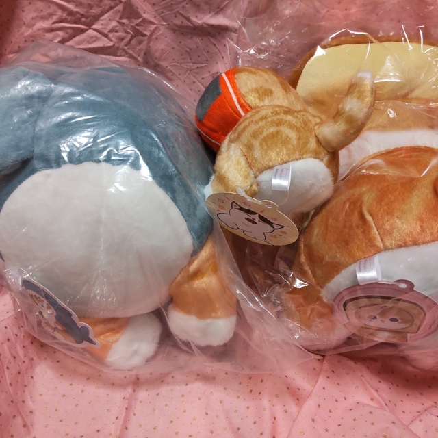 モフサンド　mofsand  パンにゃんさめにゃんビッグ鮭にゃんぬいぐるみセット エンタメ/ホビーのおもちゃ/ぬいぐるみ(キャラクターグッズ)の商品写真