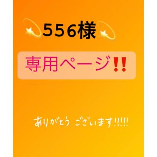 ヒステリックグラマー(HYSTERIC GLAMOUR)の★556様.専用ページ★(モッズコート)