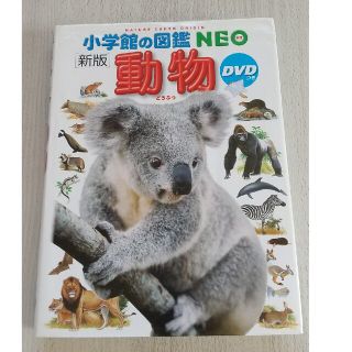 ショウガクカン(小学館)の動物 新版 図鑑NEO DVD付き(絵本/児童書)
