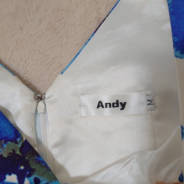 Andy(アンディ)のandy ドレス ホワイト×ブルー 花柄 レディースのフォーマル/ドレス(ナイトドレス)の商品写真