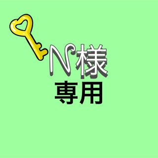 N様専用(その他)