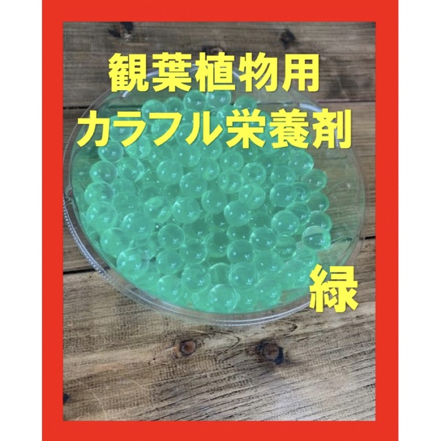 観葉植物　カラフル栄養剤　ガーデニング土　紫ビーズ5g ハンドメイドのフラワー/ガーデン(プランター)の商品写真