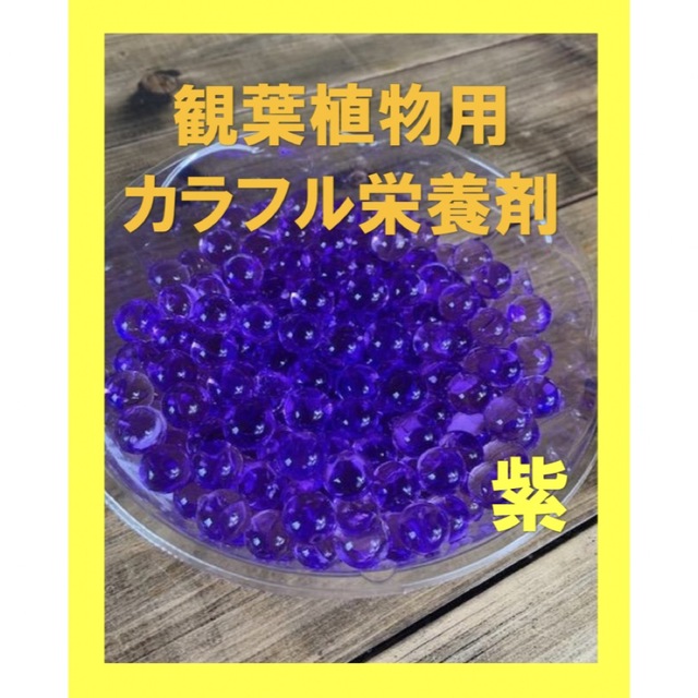 観葉植物　カラフル栄養剤　ガーデニング土　紫ビーズ5g ハンドメイドのフラワー/ガーデン(プランター)の商品写真