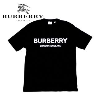 2020年購入⭐︎ バーバリー ロゴtシャツ www.krzysztofbialy.com