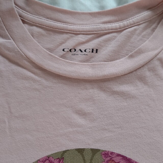 COACH(コーチ)のセール品‼️COACH Tシャツ=͟͟͞͞🐴 レディースのトップス(Tシャツ(半袖/袖なし))の商品写真