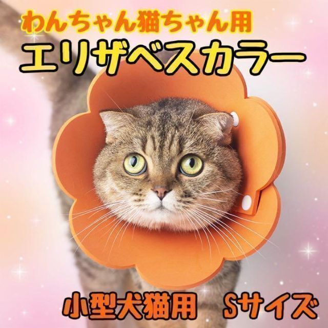 エリザベスカラー　Sサイズ　猫　犬　ソフト素材　オレンジ その他のペット用品(猫)の商品写真