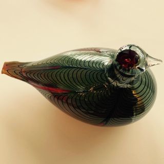 イッタラ(iittala)のイッタラ　バード　ヌータヤルビィ　キジ(ガラス)