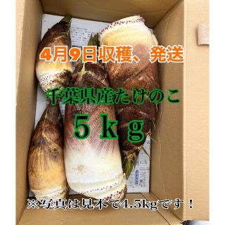 ゆき様専用となりますご了承の程お願い致します。4月9日収穫、発送分(野菜)