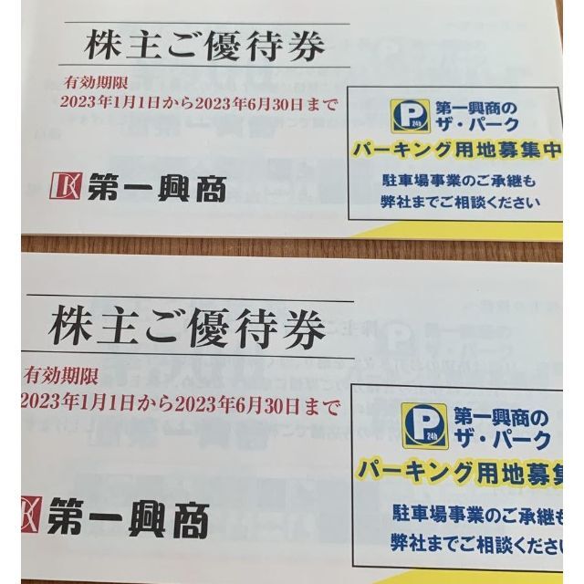 第一興商　優待　10000円　500円20枚　2023-6-30　ビックエコー