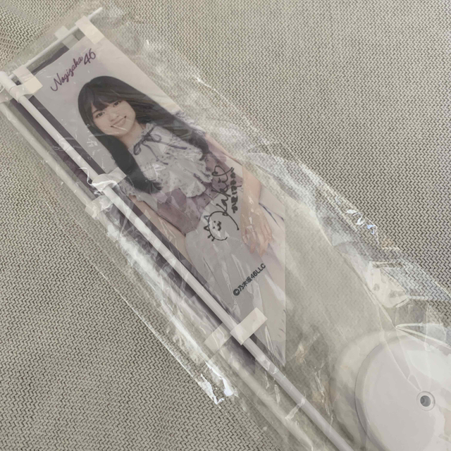 乃木坂46 賀喜遥香 直筆サイン入りミニのぼりセット 乃木フェス | www
