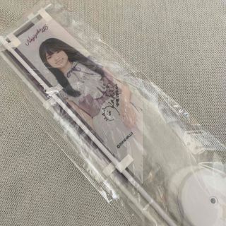 乃木坂46 賀喜遥香 直筆サイン入りミニのぼりセット 乃木フェスの通販