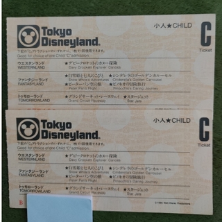 ディズニー(Disney)の東京ディズニーランド ビッグ10 小人２枚セット(その他)