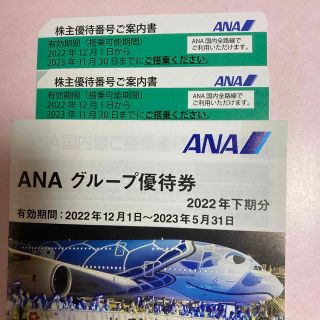 エーエヌエー(ゼンニッポンクウユ)(ANA(全日本空輸))のANA株主優待券２枚＋冊子(その他)