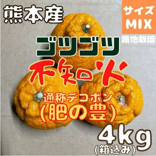 残りわずか 不知火 ゴツゴツ 良品4kg(デコポン)(フルーツ)