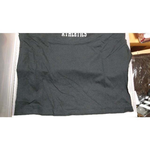 STUSSY　Ｔシャツ　サイズ：M　未着用