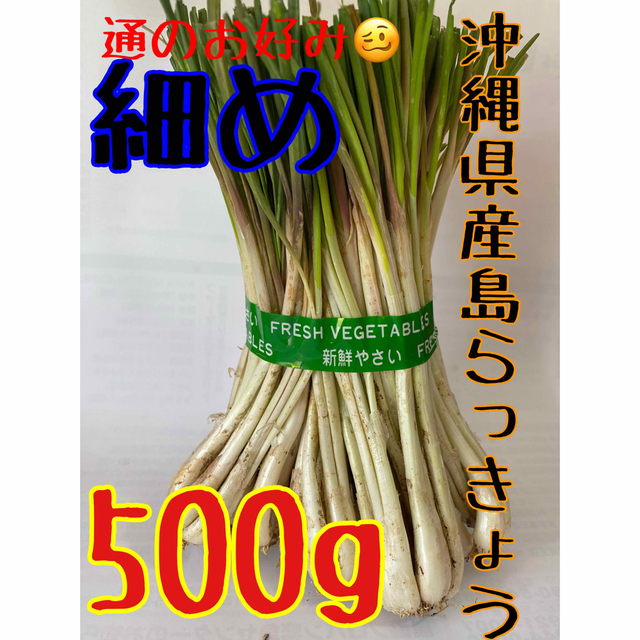 当日収穫☀️ 沖縄県産島らっきょう　細め500g 食品/飲料/酒の食品(野菜)の商品写真